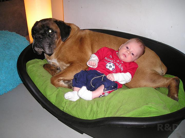 Imme 3 september 2006 (3).JPG - .... ik vind je wel lief hoor !!!